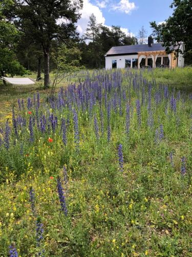 Nybyggt hus i Ale Rute